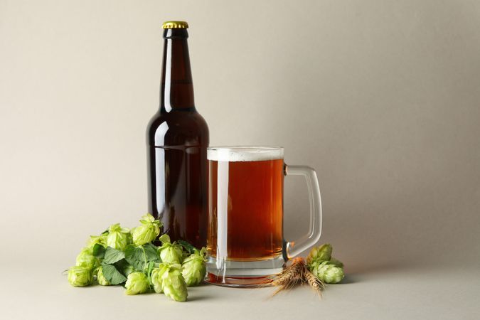 Beer and green hop on gray background