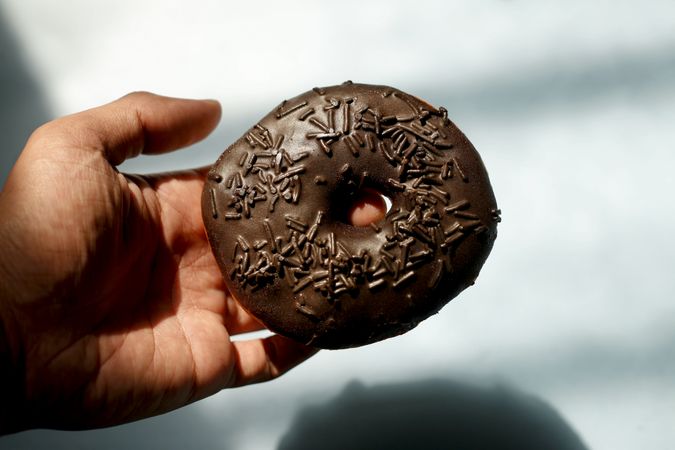 Chocolate donut with chocolate sprinkles