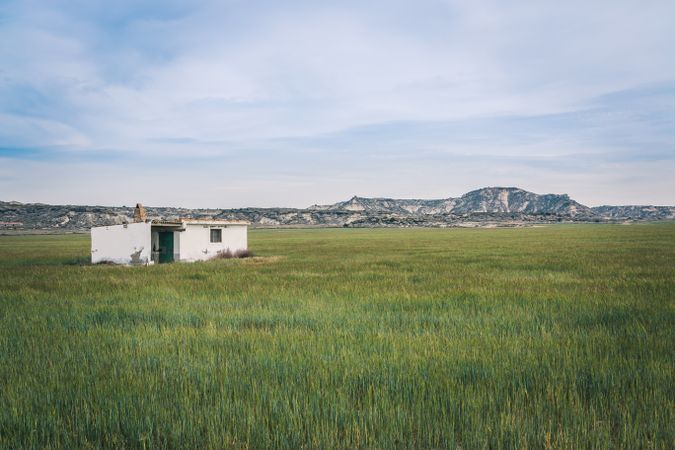 Small house in green endless fields