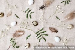 Top view of quail eggs, bird feathers and leaves on beige table cloth 43pxVb