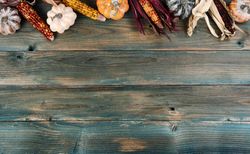 Autumn holiday concept for thanksgiving or halloween on faded blue rustic wood