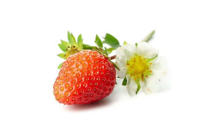 Tasty red strawberry isolated on plain background. Summer berry