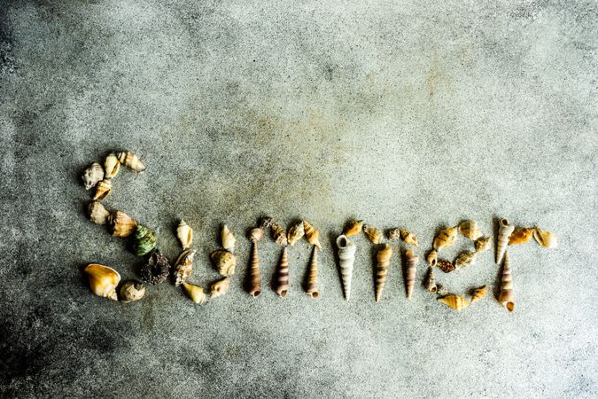 "Summer" spelled with sea shells