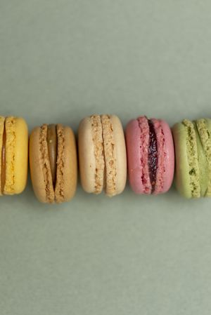 Line of pastel tasty macaroons over a green background