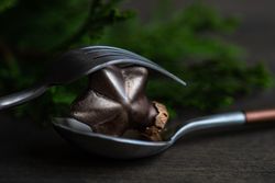 Christmas holiday concept of star decoration on spoon