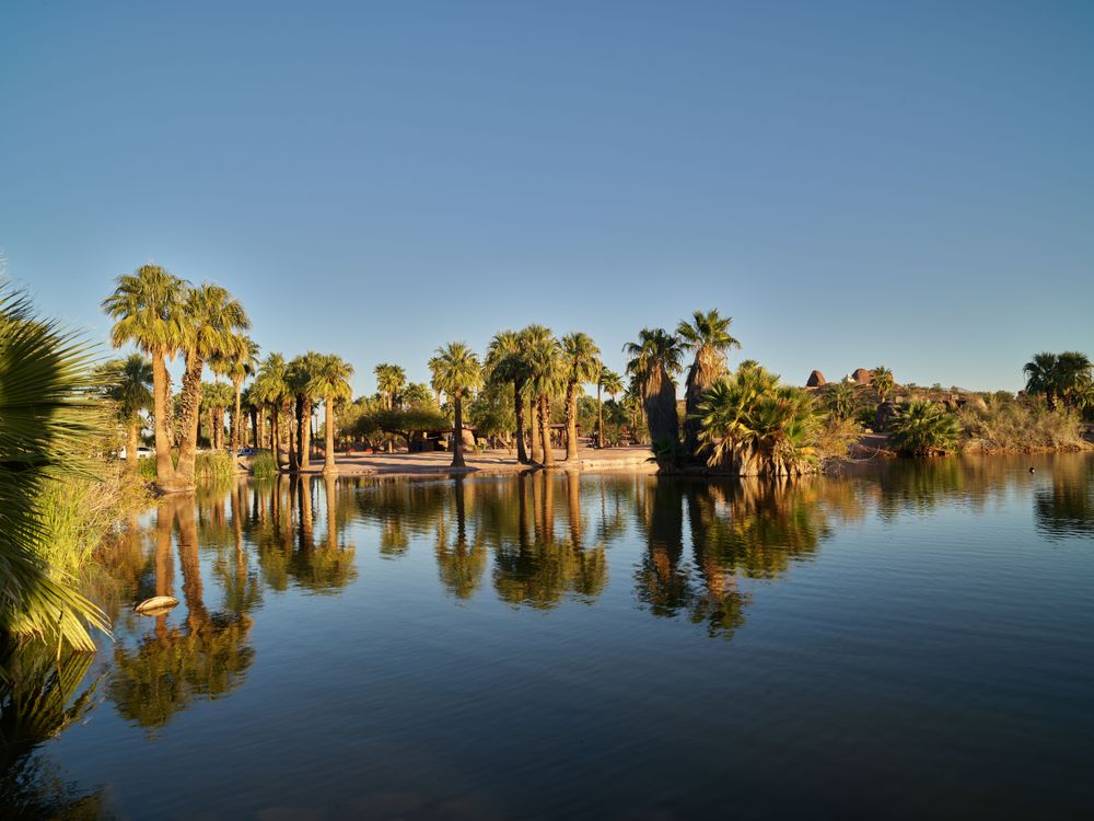 Palm trees lining calm lake in Papago Park in Phoenix