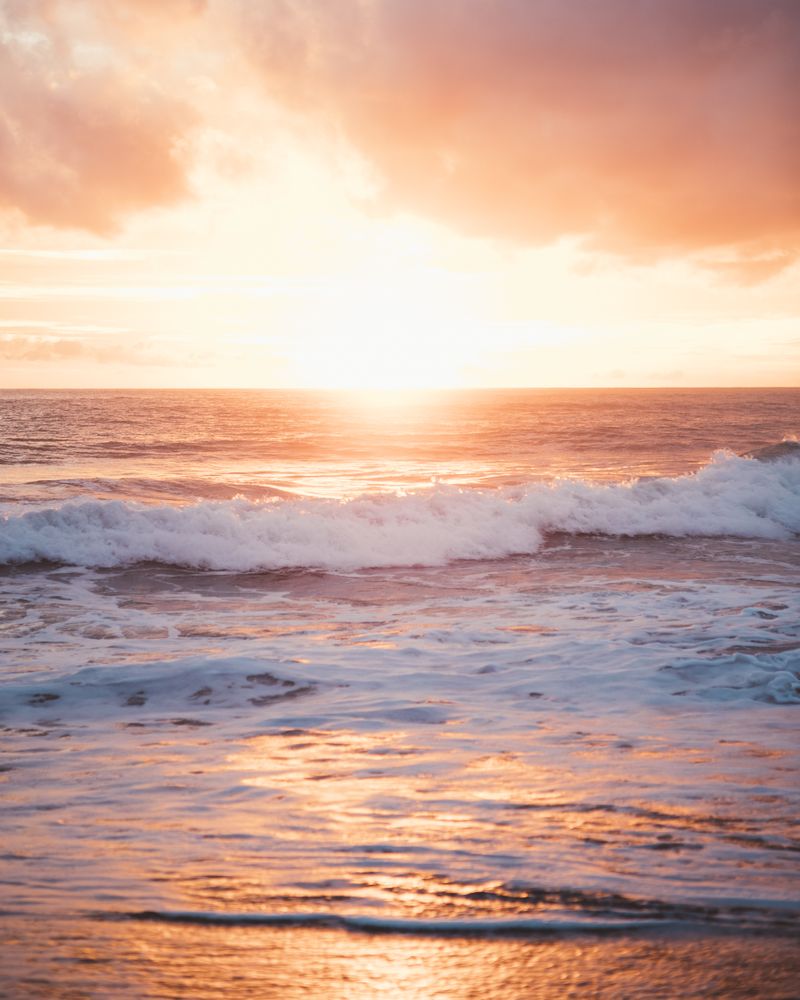 ocean shore in sunset