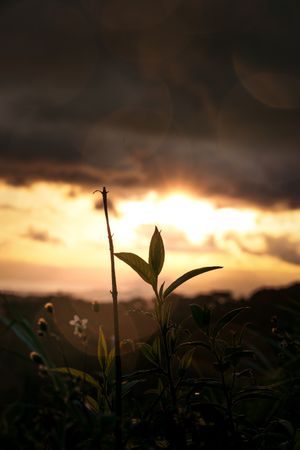 sunset in the countryside in Costa Rica