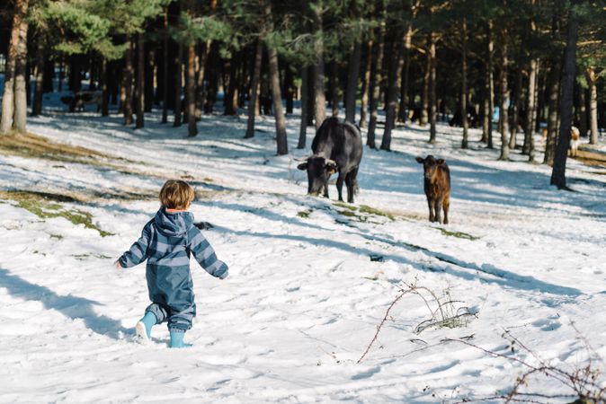 Baby running in snowdrifts in forest with animals