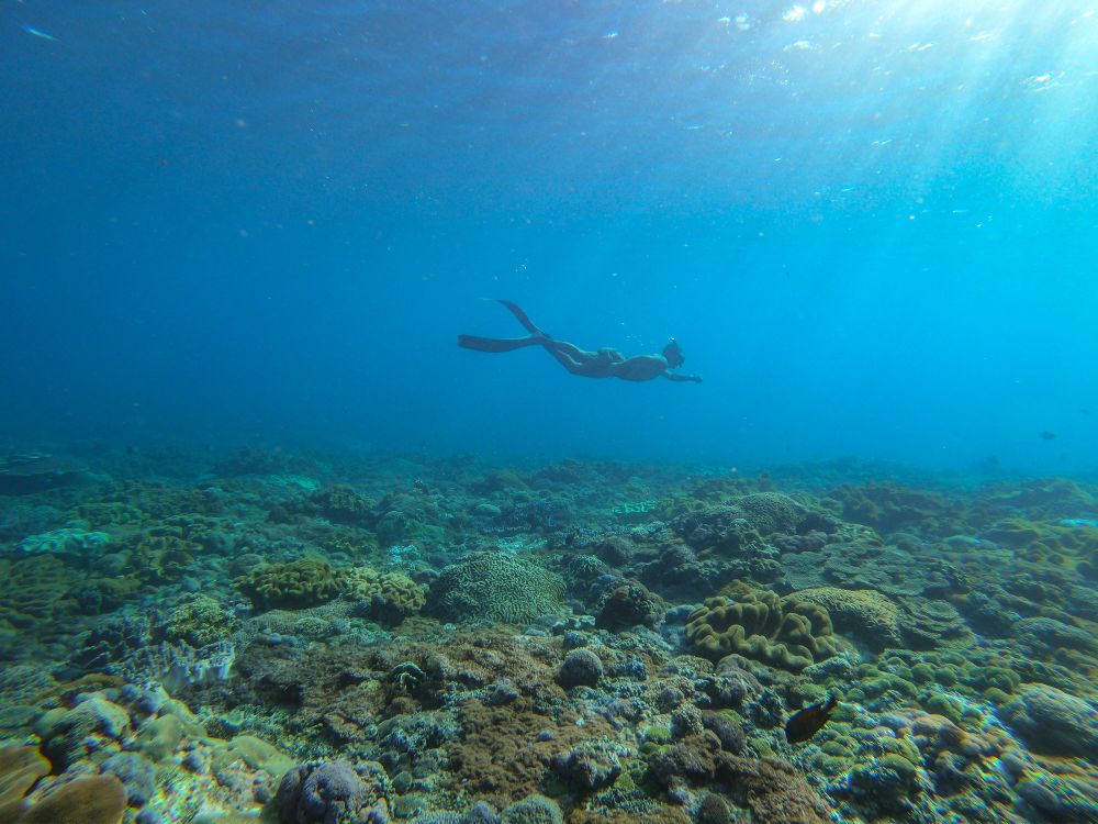 Man diving in the ocean