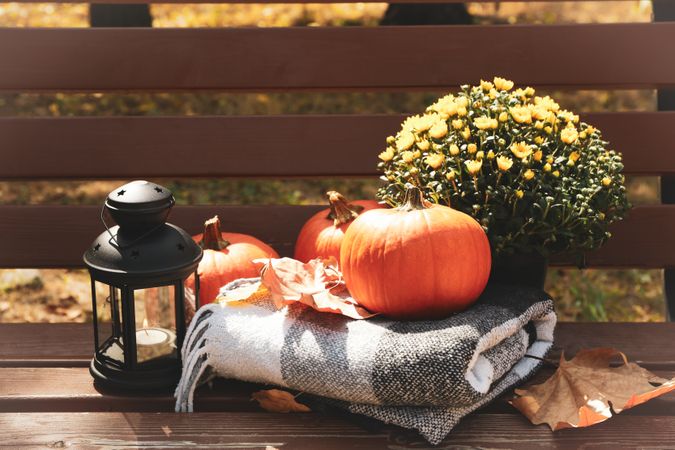 Cozy autumn concept outdoor in the park