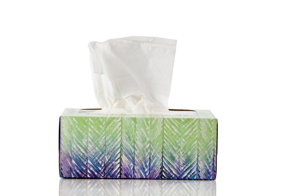 Box of tissues isolated on plain background with reflection