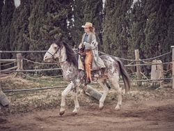 Adult woman riding horse on paddock near the forest