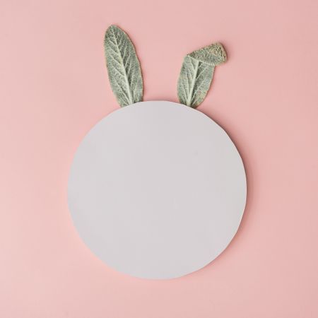 Bunny rabbit ears made of natural green leaves on pastel pink background