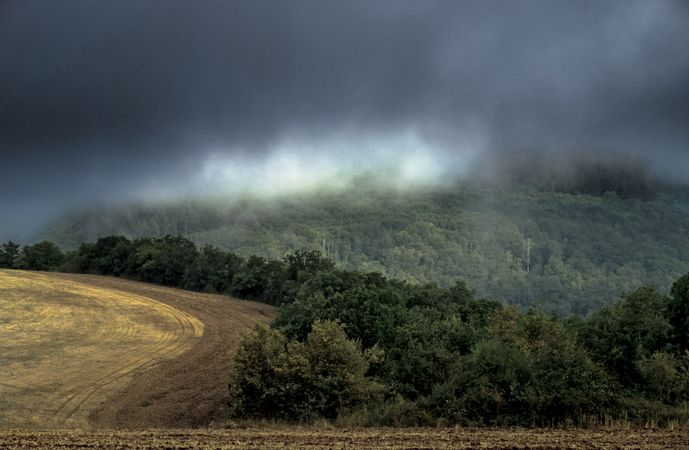 Grey heavy mist descends over a green field