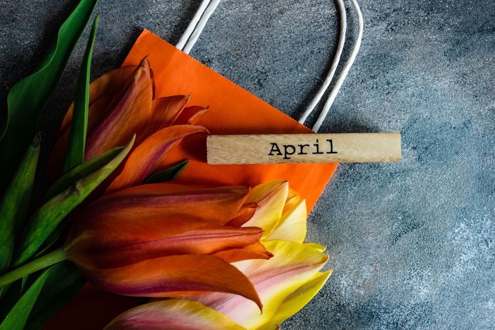 Tulip flowers on concrete background with orange shopping bag and copy space