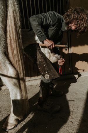 Man shoeing horse near stable