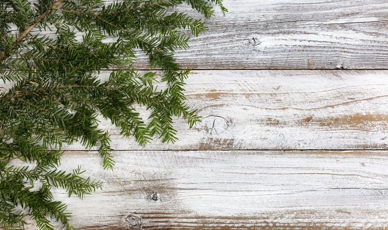 Real fir branch on rustic wood background for the Christmas or New Year holiday
