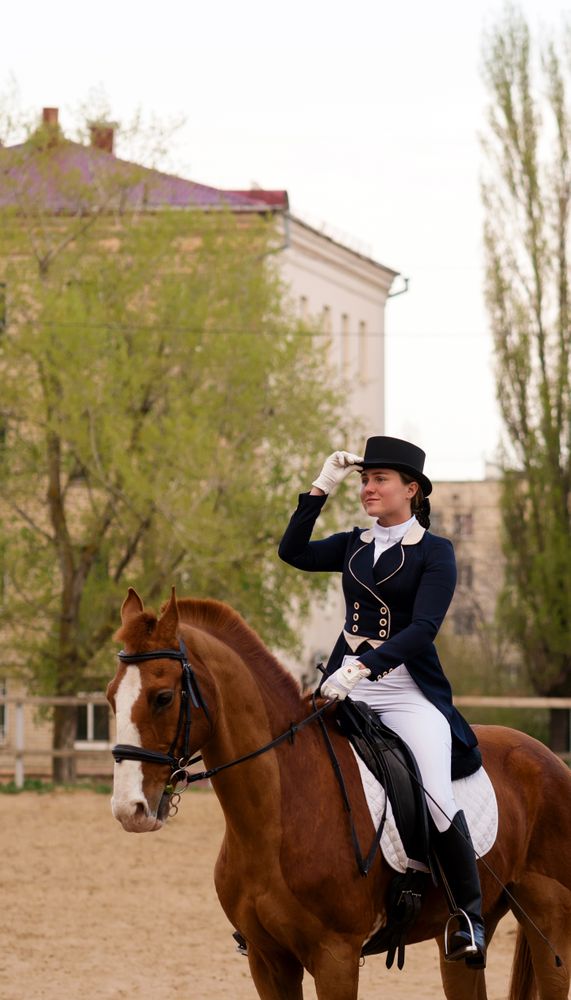 Rider saluting on horseback in city equestrian arena