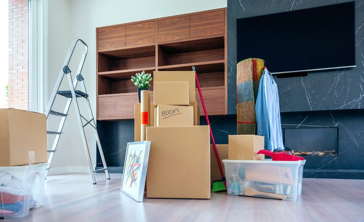 Living room with moving boxes