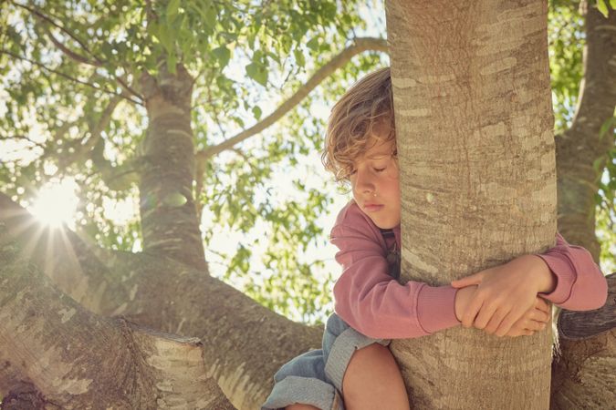 Child sleeping on tree in park