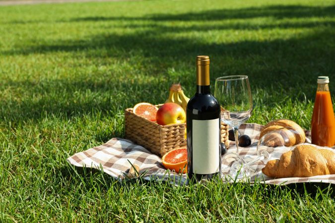 Picnic composition with wine and food against green grass, space for text