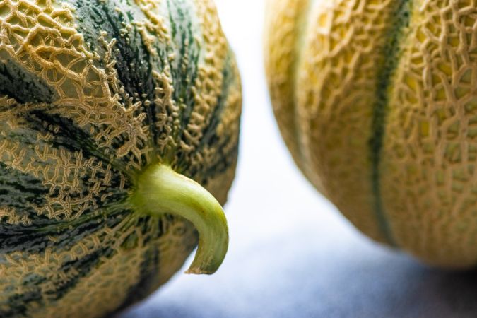 Whole ripe melon fruit