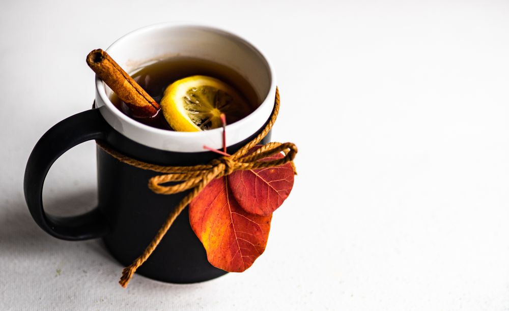 Mug of warming tea with cinnamon stick and lemon slice
