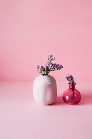 Violet sea lavender flowers in a pink background