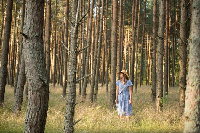 Smiling young woman relaxing among pine trees