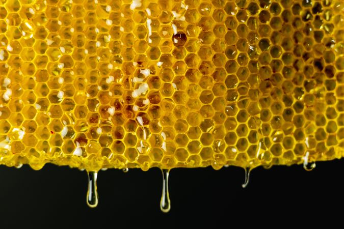 Honeycomb with golden honey
