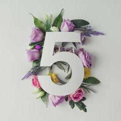 Colorful flowers, leaves and  paper “5”