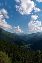 Mountain valley with lush greenery and snow-capped peaks