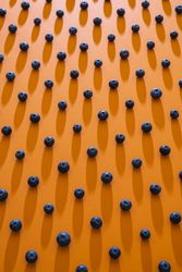 Blueberries aligned in a pattern