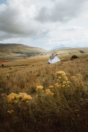 Rural house in field on summertime