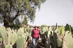 Portrait of an adult woman posing in a nopal field during the harvest