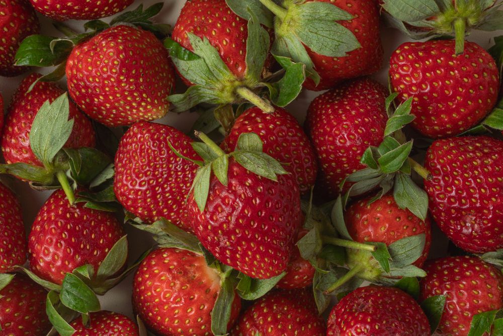 A fresh, ripe strawberry captured in detail