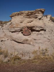 Fossilized tree stump in Petrified Forest, Arizona 20KKN0