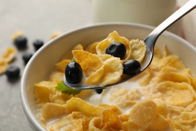 Muesli with milk, blueberry and spoon, close up