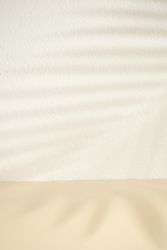 Palm leaf shadow on a a neutral beige background with copy space