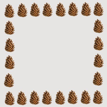 Pine cone frame on blank background