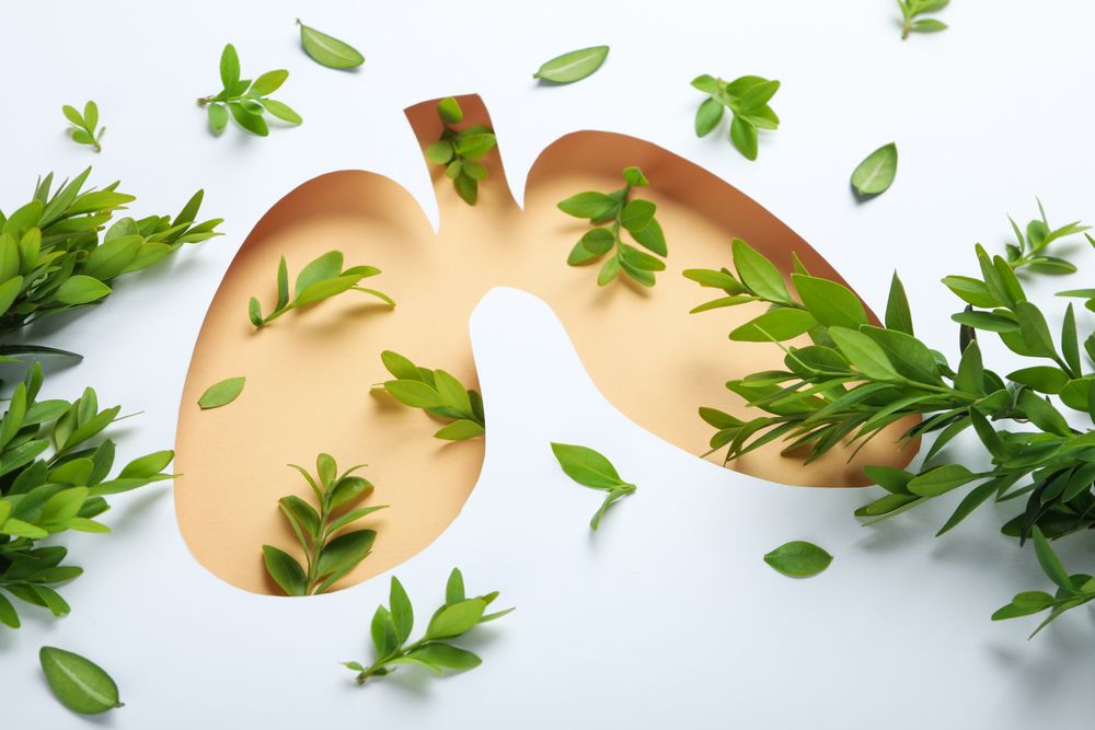 Close up of paper lung shape in beige surrounded by green foliage with copy space