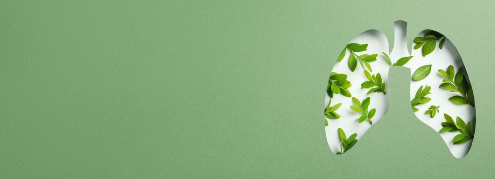 Banner of lung shape cut out of green paper revealing leaves underneath with copy space