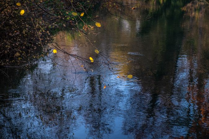 River running through the forest in the fall