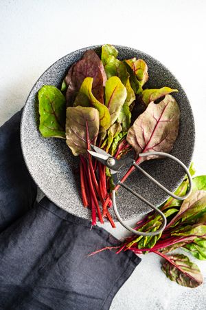 Bowl of beetroot leaves with kitchen scissors