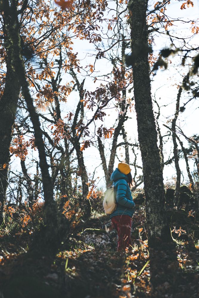 Woman walking in autumn forest