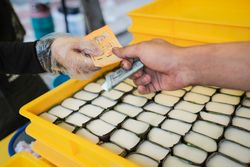 Close up of person’s hand taking cash in protective gloves