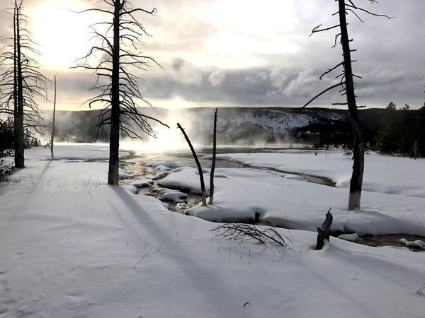 Frozen Beauty: A Serene River Winding Through Yellowstone's Snow-Covered Landscape