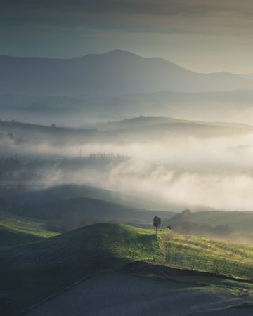 Foggy landscape in Volterra and a lonely tree. Tuscany, Italy