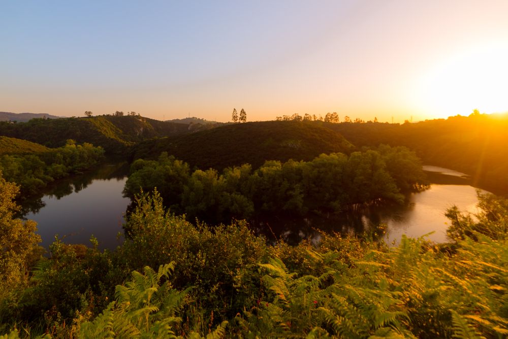 Peaceful river flowing in green nature